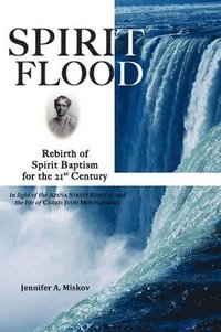 bokomslag Spirit Flood