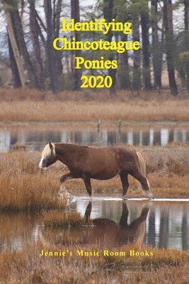 Identifying Chincoteague Ponies 2020 1