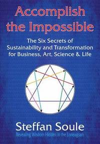bokomslag Accomplish The Impossible: The Six Secrets of Sustainability and Transformation for Business, Art, Science & Life