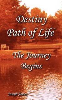 bokomslag Destiny Path of Life - The Journey Begins