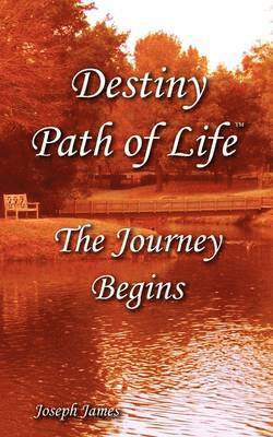 Destiny Path of Life - The Journey Begins 1