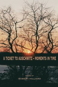 bokomslag A Ticket to Auschwitz - Moments in Time