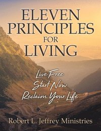bokomslag Eleven Principles for Living