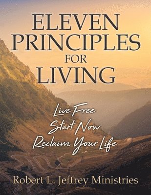 bokomslag Eleven Principles for Living