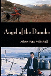 bokomslag Angel of the Danube: 2010 Edition