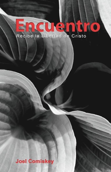 bokomslag Encuentro