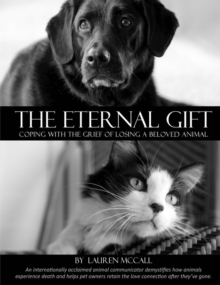 The Eternal Gift 1