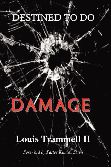 bokomslag Destined to Do Damage