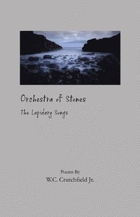 bokomslag Orchestra of Stones: The Lapidary Songs