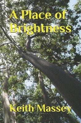 A Place of Brightness 1