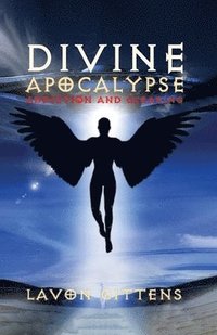 bokomslag Divine Apocalypse