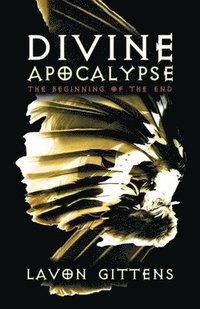 bokomslag Divine Apocalypse