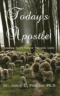 bokomslag Today's Apostle: Leading God's People Towards Unity
