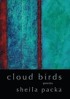 bokomslag Cloud Birds