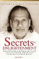 bokomslag Secrets of Enlightenment, Vol. II