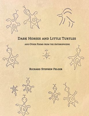 Dark Horses and Little Turtles 1