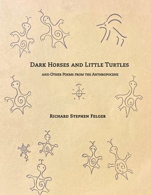 Richard Stephen Felger - Dark Horses and Little Turtles, Häftad