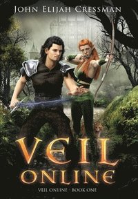 bokomslag Veil Online - Book 1 (a LitRPG MMORPG Adventure Series)