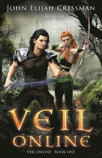 bokomslag Veil Online - Book 1 (a LitRPG MMORPG Adventure Series)