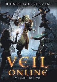 bokomslag Veil Online - Book 2