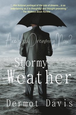 Dermot Davis - Stormy Weather, Häftad