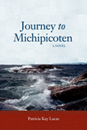 bokomslag Journey to Michipicoten