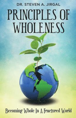 bokomslag Principles of Wholeness: Becoming Whole in a Fractured World