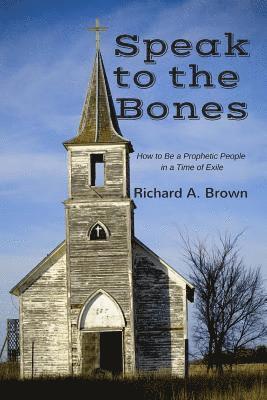 bokomslag Speak to the Bones: How to Be a Prophetic People in a Time of Exile