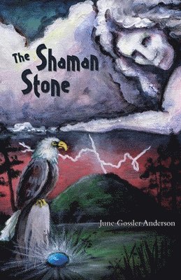 bokomslag The Shaman Stone: A Multicultural Mystery of Supernatural Proportions