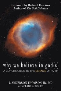 bokomslag Why We Believe in God(s)