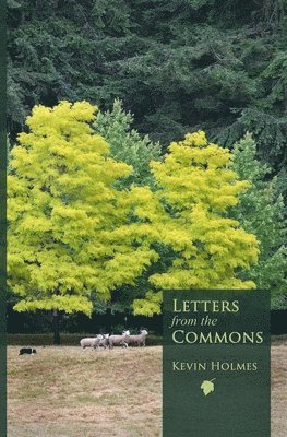 Letters from the Commons 1