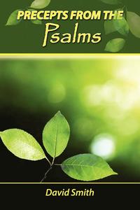 bokomslag Precepts from the Psalms