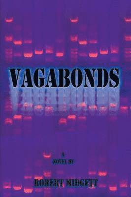 bokomslag Vagabonds