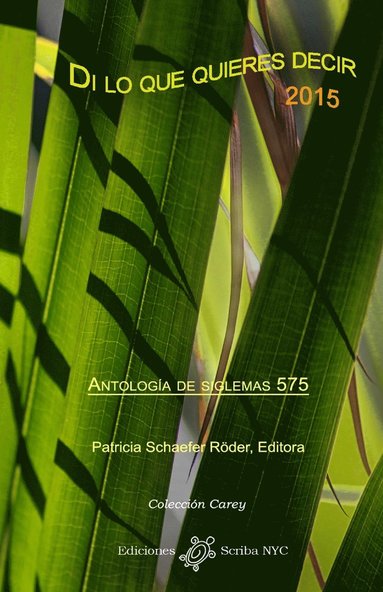 Patricia Schaefer Röder, Patricia Schaefer Röder - Di lo que quieres decir 2015, Häftad