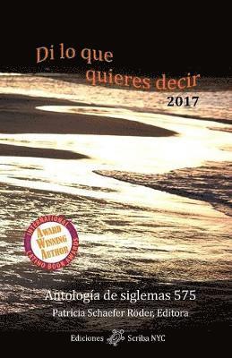Patricia Schaefer Röder, Patricia Schaefer Röder - Di lo que quieres decir 2017, Häftad