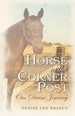 Horse at the Corner Post 1