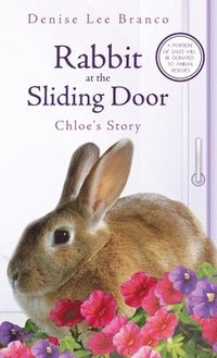 bokomslag Rabbit at the Sliding Door