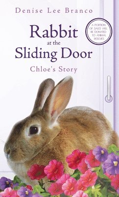 Rabbit at the Sliding Door 1