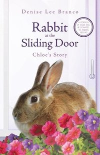 bokomslag Rabbit at the Sliding Door