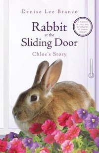bokomslag Rabbit at the Sliding Door