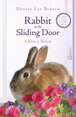 bokomslag Rabbit at the Sliding Door
