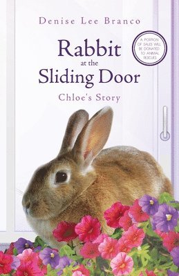 Rabbit at the Sliding Door 1