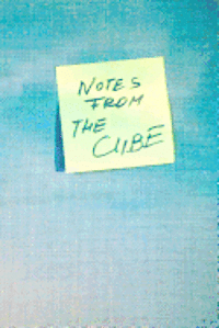 bokomslag Notes From The Cube: a year in the office