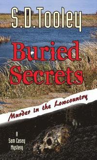 bokomslag Buried Secrets