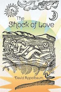 bokomslag The Shock of Love