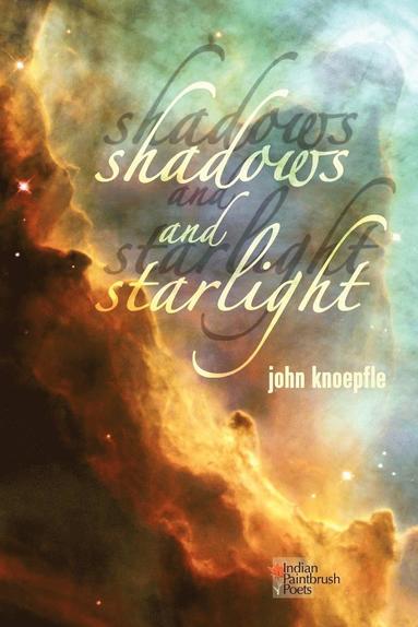 bokomslag Shadows and Starlight