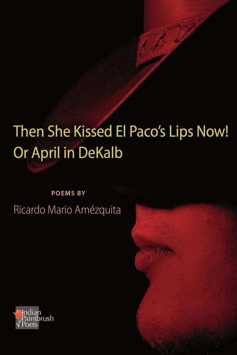 Ricardo Mario Amezquita - She Kissed El Paco's Lips Now! Or April in DeKalb, Häftad