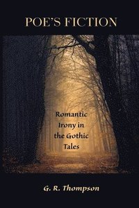bokomslag Poe's Fiction