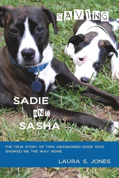 bokomslag Saving Sadie and Sasha