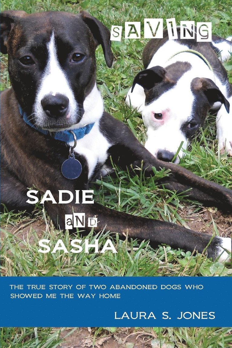 Laura S Jones, Laura S. Jones - Saving Sadie and Sasha, Häftad